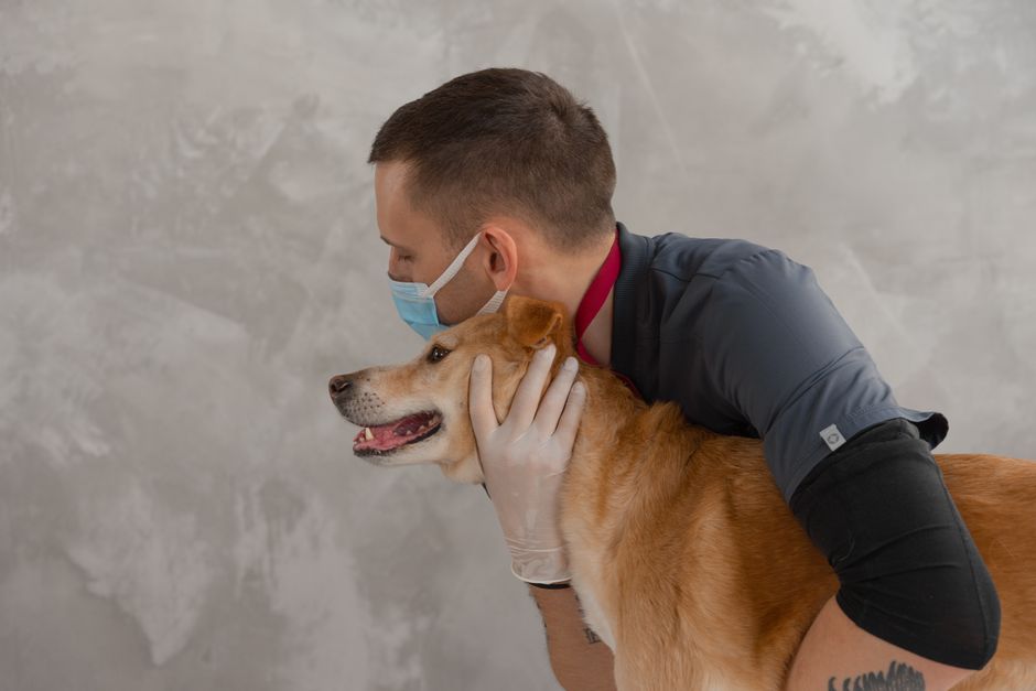 A caring veterinarian embraces a happy dog during a routine checkup. Captures empathy and professionalism.