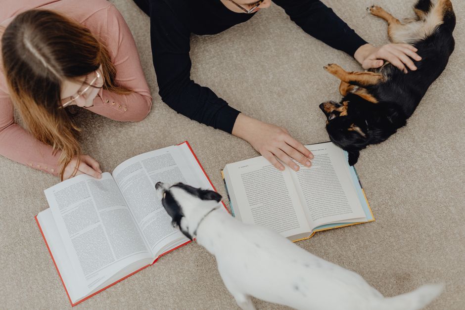 Two children reading books on the carpet while playing with cute dogs.